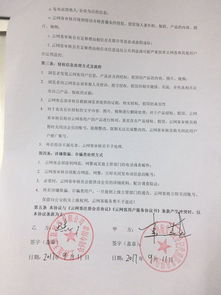 上海衡安企业登记代理服务 专业信赖的工商登记办理之路